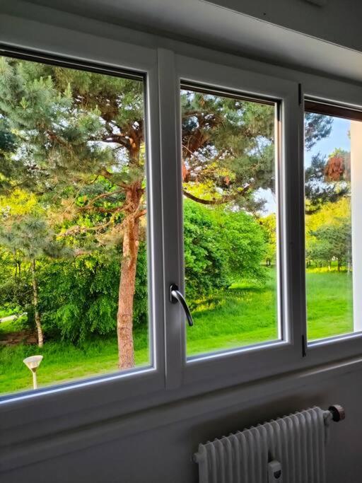 Chaleureux Appartement. دينان المظهر الخارجي الصورة